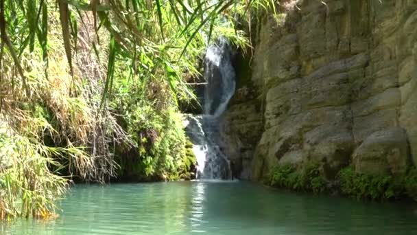 キプロス パフォス 2021年8月 Adonis Bath Waterfalls 天然のプールとアドニスとアフロディテの像を持つ2つのレベルの滝 — ストック動画