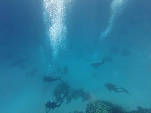 Buceador Bajo Agua Grupo Buceadores Fondo Del Mar Mundo Submarino — Foto de Stock