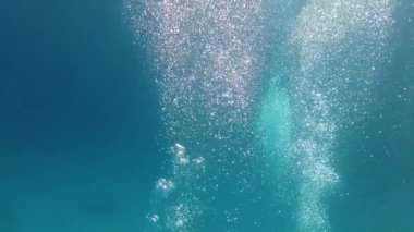 Skuba dalgıcı suyun altında. Denizin dibindeki bir grup dalgıç. Kızıl Deniz 'in sualtı dünyası. Güzel mercanlar ve suyun altındaki balıklar. Serbest Dalış.