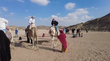 Safaga, Hurghada, Mısır - Ocak 2022: Bedeviler Arap çölünde develerle turistlere biniyor. Bedevi hayatı. Turistler deveye biner..