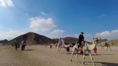Safaga, Hurghada, Mısır - Ocak 2022: Bedeviler Arap çölünde develerle turistlere biniyor. Bedevi hayatı. Turistler deveye biner..