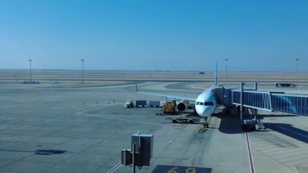 Hurghada Egypte Januari 2022 Luchthaven Hurghada Maak Het Vliegtuig Klaar — Stockvideo