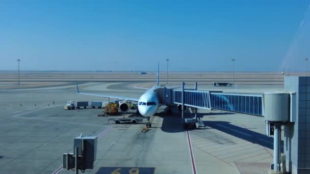 Hurghada Egypte Januari 2022 Luchthaven Hurghada Maak Het Vliegtuig Klaar — Stockvideo