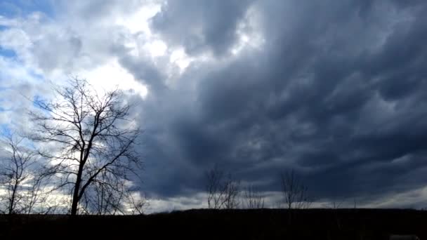 蓝天上美丽的云彩 春风乌云 阳光灿烂 暴风雨前的云彩 春天里的时间 — 图库视频影像