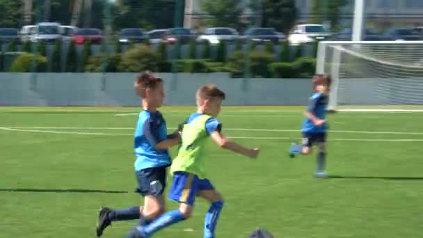 Kyiv Ukraine July 2022 Children Soccer Football Championship Children Football — 비디오