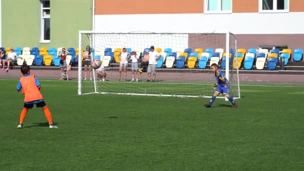 Kyiv Ukraine July 2022 Children Soccer Football Championship Children Football — Vídeo de Stock