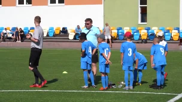 Kyiv Ukraine July 2022 Children Soccer Football Championship Children Football — Vídeo de stock