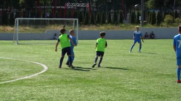 Kyiv Ukraine July 2022 Children Soccer Football Championship Children Football — ストック動画