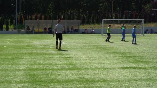 Kyiv Ukraine July 2022 Children Soccer Football Championship Children Football — ストック動画