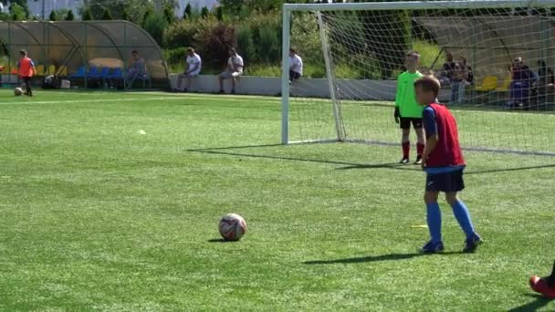 Kyiv Ukraine July 2022 Children Soccer Football Championship Children Football — 图库视频影像