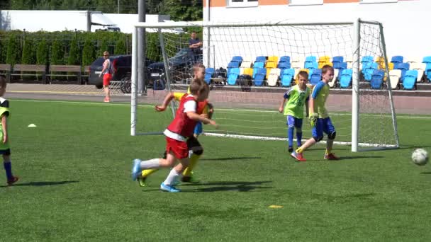Kyiv Ukraine July 2022 Children Soccer Football Championship Children Football — 图库视频影像