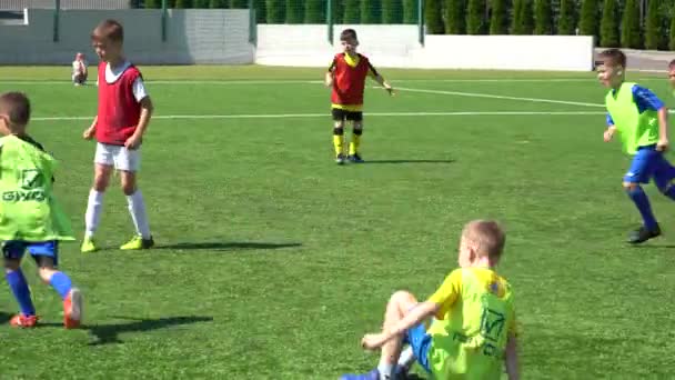 Kyiv Ukraine July 2022 Children Soccer Football Championship Children Football — 비디오