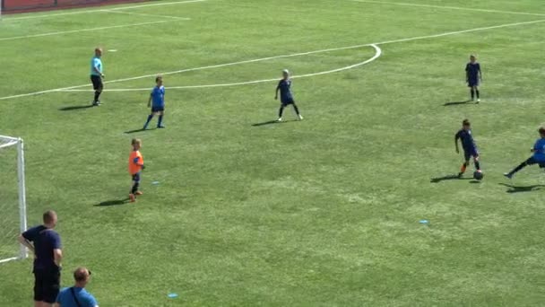 Kyiv Ukraine July 2022 Children Soccer Football Championship Children Football — Stok video