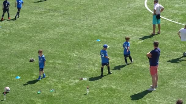 Kyiv Ukraine July 2022 Children Soccer Football Championship Children Football — Stok video