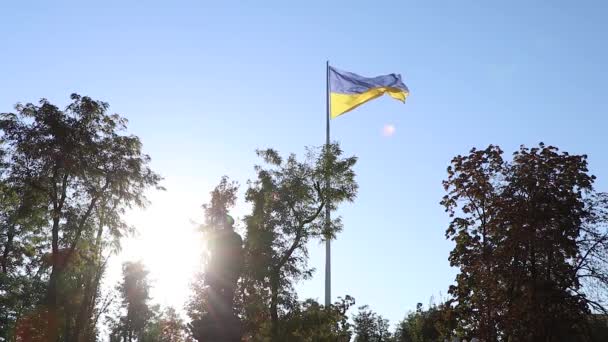 ウクライナの黄色の旗ウクライナのドニプロの都市で風のクローズアップで青い空に対して — ストック動画