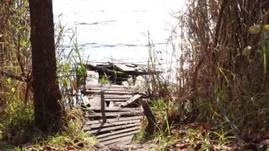 Dnipro şehrindeki Ukrayna 'da, nehrin kıyısında, sazlıklarda, eski bir ahşap iskele çöktü.