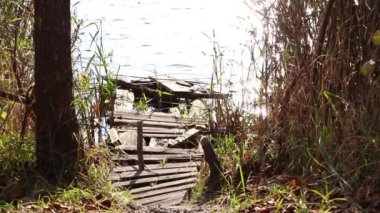 Dnipro şehrindeki Ukrayna 'da, nehrin kıyısında, sazlıklarda, eski bir ahşap iskele çöktü.