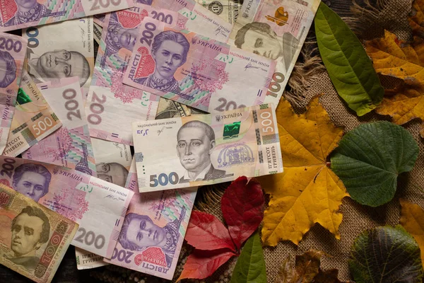 Ukraińskie Pieniądze Leżą Stole Jesiennych Liściach Sto Pięćset Dwieście Griwetek — Zdjęcie stockowe