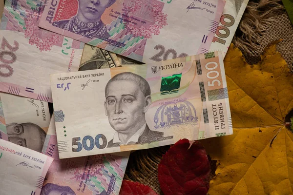 秋天的时候 乌克兰人的钱还在桌上 有一百五百零二百块钱作为背景 还有金融 — 图库照片