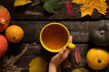 Kadın eli, balkabağı ve sonbahar yapraklarının yanındaki masada bir fincan çay tutuyor, elinde bir fincan çay, sonbahar havası olan sonbahar masası dekoru.