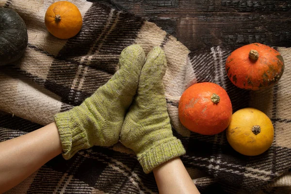 a girl sits on the floor in socks on the beach, and next to them are pumpkins and leaves in autumn, home and comfort, feet on the floor, home comfort