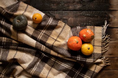 Ahşap zeminde yün ekose ve arka planda balkabakları, sonbahar ahşap arka planda, balkabağı arka planda.