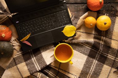 Dizüstü bilgisayar ve masa üstünde şampanyayla balkabağı ve kuru sonbahar yaprakları, sonbahar havası, evde serbest çalışma, masada dizüstü bilgisayar.