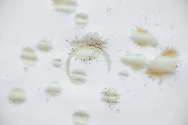 Koffievlekken Wit Papier Een Druppel Koffie Een Witte Achtergrond Koffievlek — Stockfoto