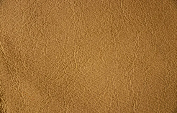 Light Beige Background Genuine Leather Solid Beige Background Close — Stock Photo, Image
