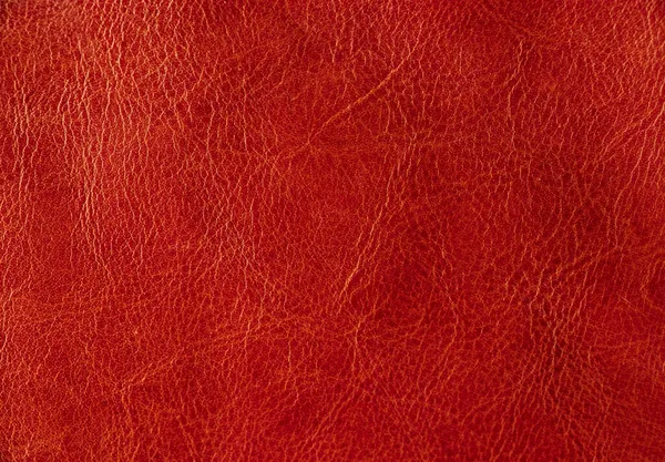 Rode Achtergrond Van Echt Leer Stevige Rode Achtergrond Closeup Leer — Stockfoto