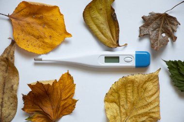 Elektronik termometre sonbahar sarı yaprakları, mevsimsel sonbahar gribi, sonbahar hastalıkları, ateş, ilaç gibi beyaz bir zemin üzerinde yatar.