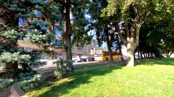 Albero della città sullo sfondo della strada in tsuntri della città di Dnipro in Ucraina al sole al mattino, mattina di sole nella città di Dnipro nel mese di settembre — Video Stock