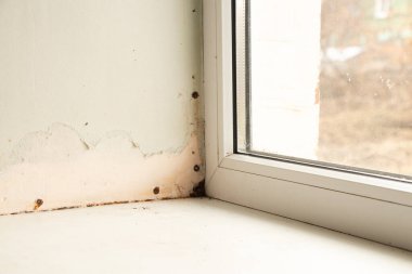 Plasterboard yamaçlı pencereler, nem ve mantar, onarımı olmayan daire, mantar ve nem.