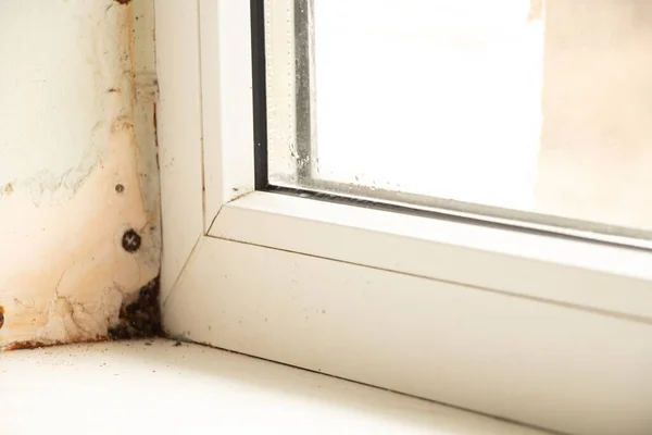 Вікна з гіпсокартонними схилами, волога і грибок, квартира без ремонту, грибок і вологи — стокове фото