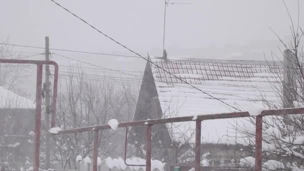 Woonwijk Met Prive Huizen Sneeuw December Stad Dnipro Oekraïne Sneeuwval — Stockvideo