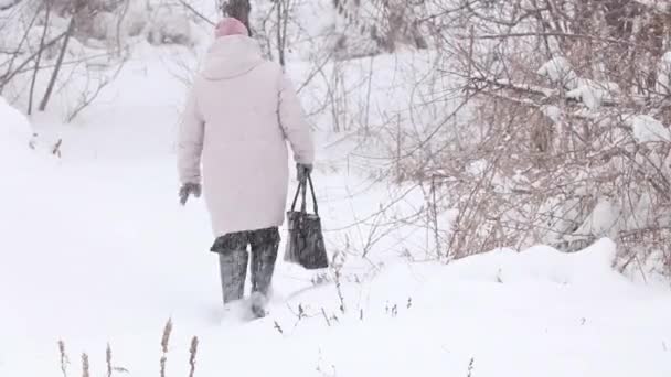 Woman Walks Narrow Path Park Snowy Weather Winter December Bad — Stockvideo