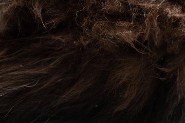 Kedi yünü siyah beyaz kedi, arka plan için yün