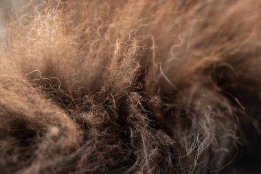 Kedi yünü siyah beyaz kedi, arka plan için yün