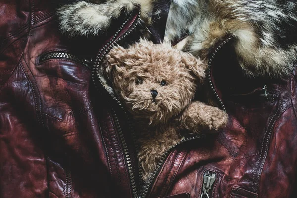 Teddy Bear Lies Fur Winter Jacket Teddy Bear Background — Stockfoto