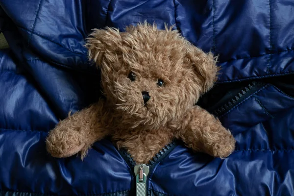 Brown Teddy Bear Puffed Warm Black Blue Jacket Childrens Background — стоковое фото