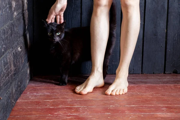 Kobieta Gołe Stopy Drewnianej Podłodze Domu Obok Czarny Kot — Zdjęcie stockowe