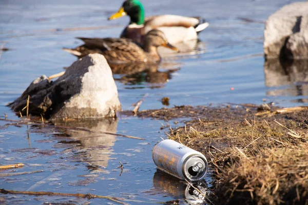 ウクライナDnepr 2022 錫のビールボトルが川の岸に浮かび 川のゴミ 環境災害 自然界のゴミ — ストック写真