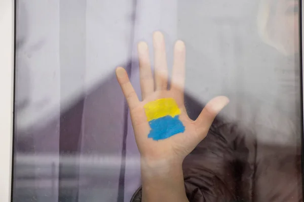 Evinin penceresinde Ukrayna 'nın sarı-mavi bir bayrağıyla bir kızın eli, Ukrayna' da barış, savaşı durdurmak, protesto eylemi ve bir vatanseverlik eylemi