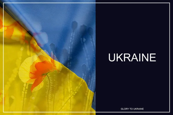 Bandera Nacional Ucrania Amarillo Azul Rojo Flores Amapola Poli Ucrania — Foto de Stock