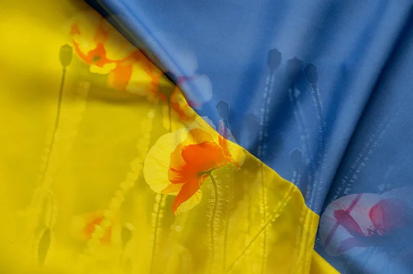Національний Прапор Українки Жовтий Блакитний Червоний Мак Квіти Полі Україні — стокове фото