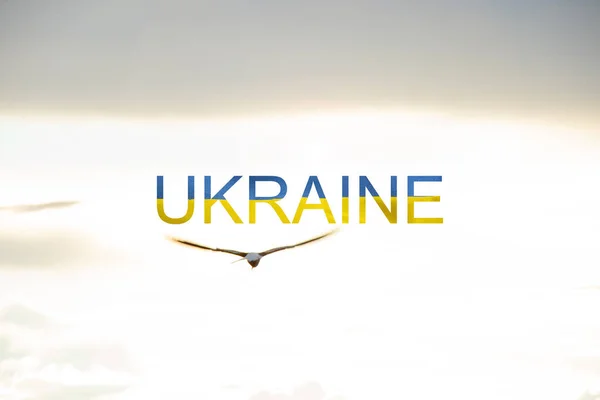 Ordet Ukraina i gul-blå färg av den nationella flaggan i Ukraina och i närheten på himlen en mås flyger över Dnepr, ett fritt land och folk — Stockfoto