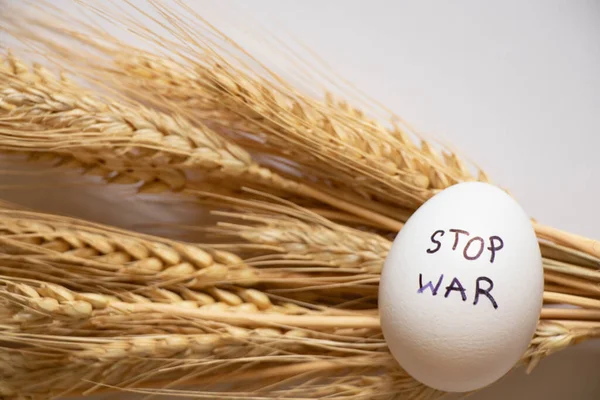 Stop War Written Chicken Egg Lies Wheat White Background Harvest — Stock Photo, Image
