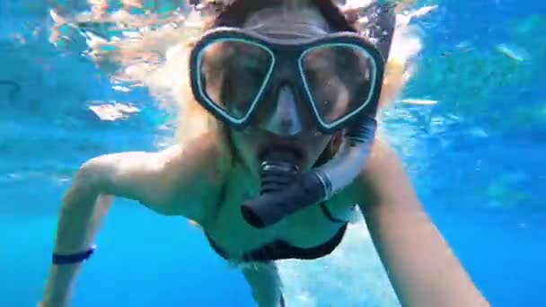 Menina Ucraniana Férias Nada Debaixo Água Mar Vermelho Com Uma — Vídeo de Stock