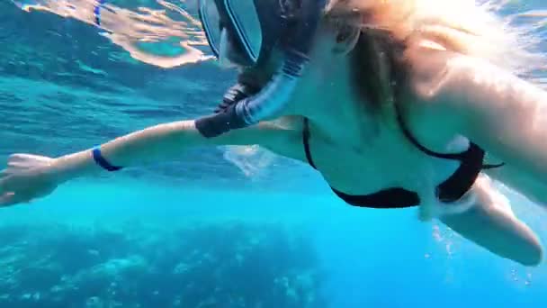 Ukrainian girl on vacation swims underwater in the red sea with a mask in Sharm El Sheikh, swim in the red sea in Egypt, a tourist on vacation