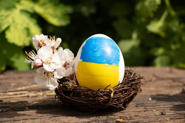 Ukrayna 'da bir çiftlikte, Ukrayna' da bir çiftlikte, Ukrayna 'da Paskalya bayramında, üzerinde Ukrayna' nın sarı-mavi renkli bir bayrağı bulunan beyaz bir tavuk yumurtası.